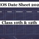 NIOS Date Sheet 2025